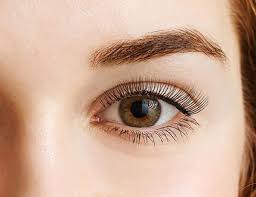 Both eyelash & eyebrow tint